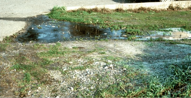 Septic Systems: Key Insights into Septic System Failure and How to Prevent It