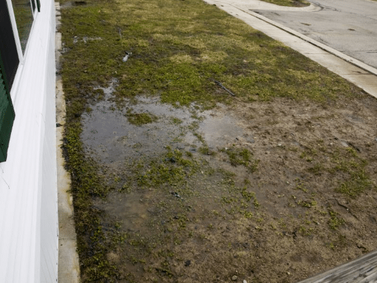 Signs That Show You Might Have Drainage Problems